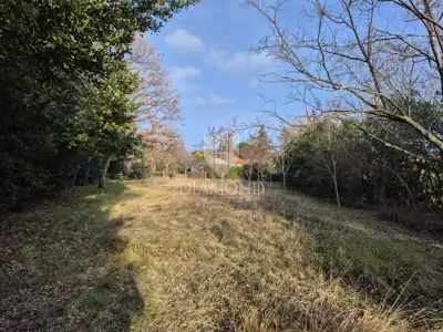 Building plot, Poreč - elite location for a villa or house - 6