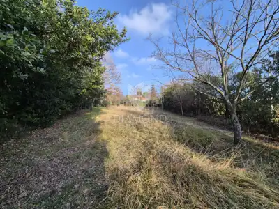 Building plot, Poreč - elite location for a villa or house - 4