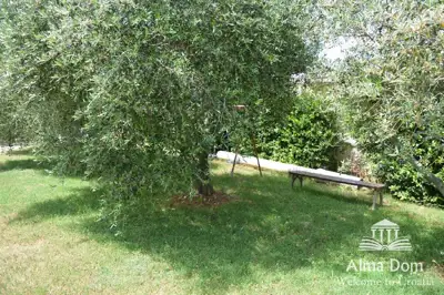 House 200 m², Ližnjan - plot 1 100 m² with olive trees - 3