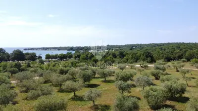 Poreč, modern villa in an exclusive location! - 20
