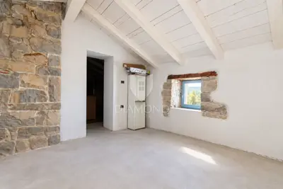 Imanje, Cerovlje - kamena kuća i masline - 12