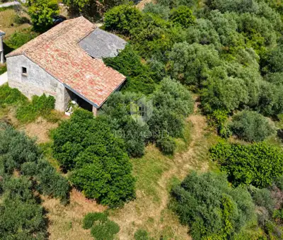 Imanje, Cerovlje - kamena kuća i masline - 4