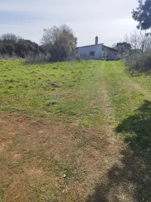 Poljoprivredno zemljište 579 m², Ližnjan - livada i pašnjak