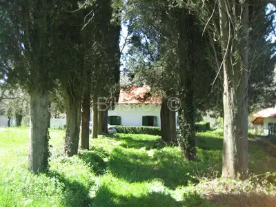 Haus 150 m², Drniš - neben dem Roški-Wasserfall im Nationalpark Krka - 2
