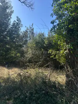 Building land 1,149 m², Šumber - two plots - 22