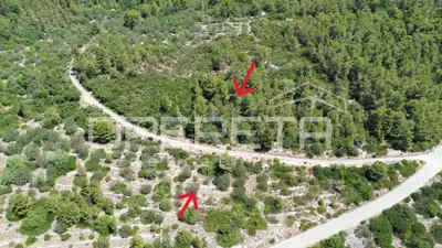 Agricultural land 2,784 m², Blato - access road - 4