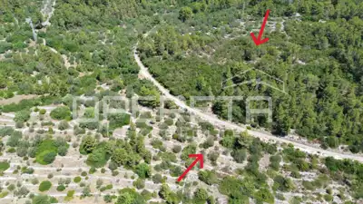 Agricultural land 2,784 m², Blato - access road - 6