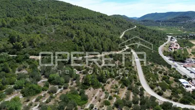 Agricultural land 2,784 m², Blato - access road - 3