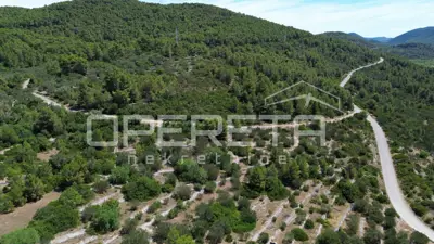 Agricultural land 2,784 m², Blato - access road - 9