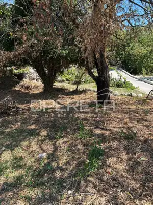 Orašac, Orašac, 288,00 m², 110.000,00 EUR - 9