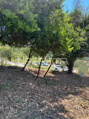 Orašac, Orašac, 288,00 m², 110.000,00 EUR - 10