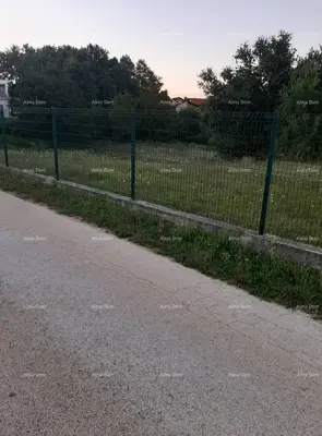 Baugrundstück 2 626 m², Beram bei Pazin, Zufahrt von der Asphaltstraße - 2