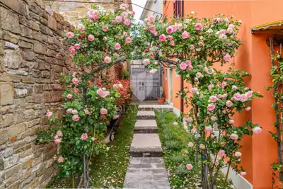 Oprtalj, house 139 m² with enchanting views!