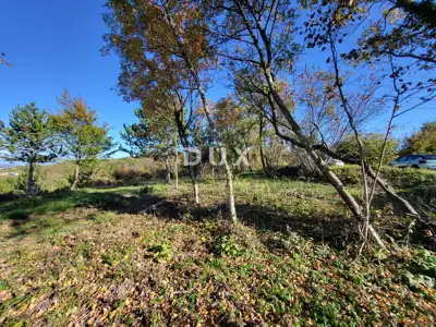 Land plot for sale in Grožnjan - 10