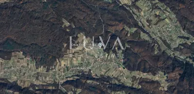 Wald, Kraljev Vrh, Zufahrtsweg und wirtschaftliches Potenzial