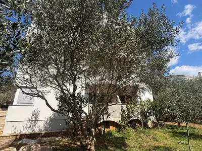Novalja - kuća s 10 apartmana - 7