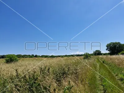 Poljoprivredno zemljište 1 250 m², Šišan - blizu mora - 2