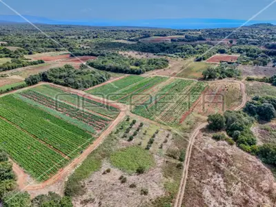 Poljoprivredno zemljište 1 250 m², Šišan - blizu mora - 5