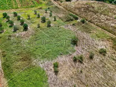 Poljoprivredno zemljište 1 250 m², Šišan - blizu mora - 4