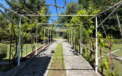 Labin, surroundings, Family house with a large yard - 20