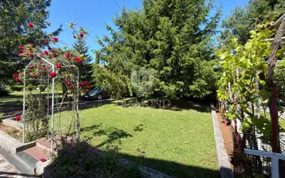 Labin, surroundings, Family house with a large yard - 19