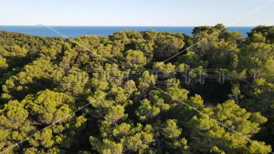Poljoprivredno zemljište, Vis - pogled na more i otoke - 10