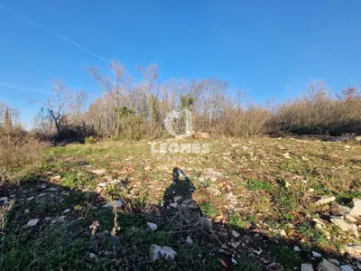 Baugrundstück 500 m², Plovanija bei Buje - 2