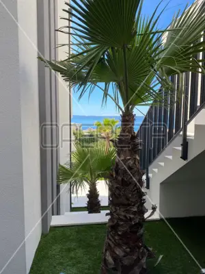 Vila u Makarskoj, luksuz i privatnost u srcu grada - 8