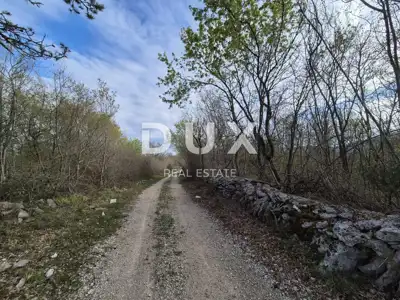 Šuma 40.597 m², Labin - gospodarska šuma - 4