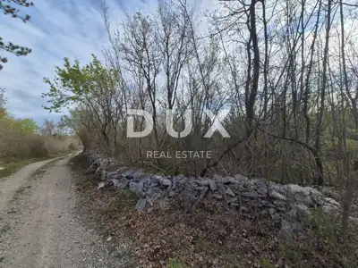 Šuma 40.597 m², Labin - gospodarska šuma
