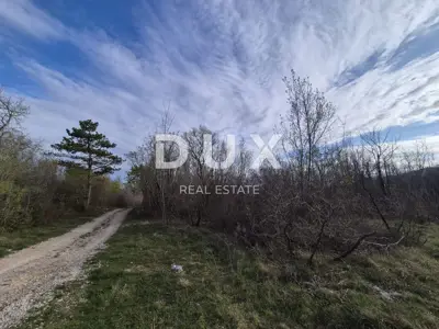 Šuma 40.597 m², Labin - gospodarska šuma - 3