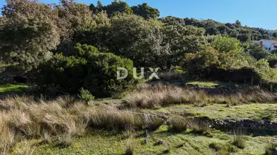 Grundstück 6.500 m², Supetarska Draga auf der Insel Rab, ruhige Lage - 13