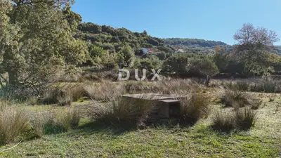 Grundstück 6.500 m², Supetarska Draga auf der Insel Rab, ruhige Lage - 14