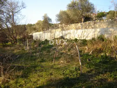 Land 6,500 m², Supetarska Draga on the island of Rab, quiet location