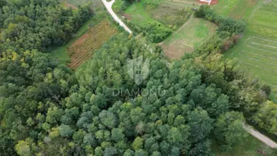 Building plot 5,083 m², Labin - quiet location - 6