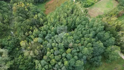 Building plot 5,083 m², Labin - quiet location - 5