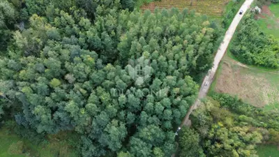 Building plot 5,083 m², Labin - quiet location - 2