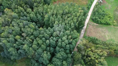 Building plot 5,083 m², Labin - quiet location - 4