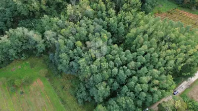 Building plot 5,083 m², Labin - quiet location