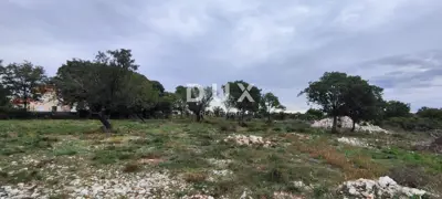 Building plot, Tinj - peaceful Dalmatian hinterland - 2
