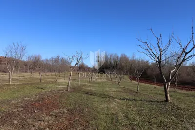 Poreč, Umgebung, Grundstück mit offenem Blick, umgeben von Natur - 3