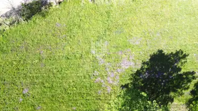 Building plot 809 m², Poreč surroundings, sea view - 5