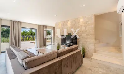 Villa 203 m², Sveti Petar u Šumi - pool and summer kitchen - 8