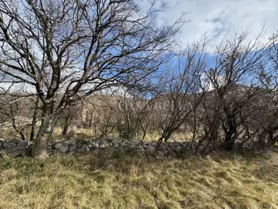Plot 1,050 m², Sveti Juraj - peaceful and secluded location - 3