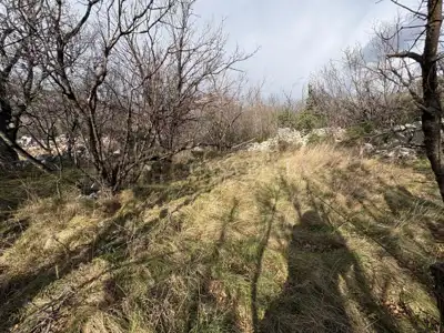 Plot 1,050 m², Sveti Juraj - peaceful and secluded location - 2