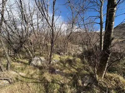 Plot 1,050 m², Sveti Juraj - peaceful and secluded location - 6