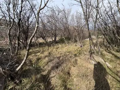 Plot 1,050 m², Sveti Juraj - peaceful and secluded location - 4
