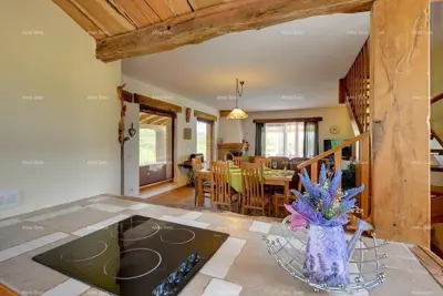 Eine schöne Villa mit Swimmingpool in der Nähe von Pazin steht zum Verkauf - 21
