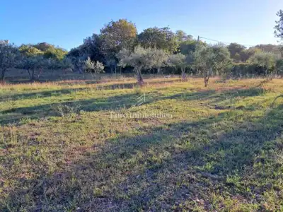 House 116 m², Šijana - quiet location and large yard - 9