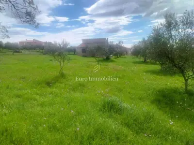 House 116 m², Šijana - quiet location and large yard - 15